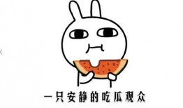 吃瓜黑料爆,吃瓜黑料背后的真相与反思