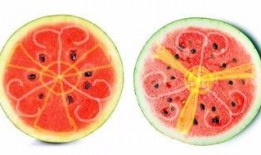 吃瓜吐籽榨汁,吃瓜吐籽榨汁，尽享健康生活新体验