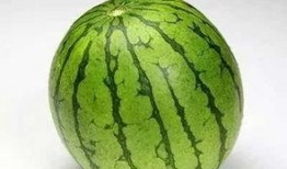 奉化职校吃瓜