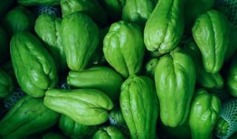 吃捧瓜,跟随吃瓜群众，探寻娱乐圈的甜蜜与苦涩