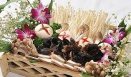 肝腹水不可吃瓜,为何瓜类不宜食用