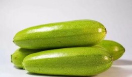 西葫芦瓜的瓜尖可以吃吗