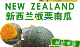 怎样吃新西兰瓜,如何品尝新西兰瓜的鲜美滋味