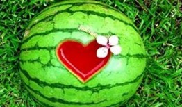 孕妇梦见吃梨瓜