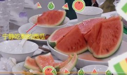 宁静吃瓜,揭秘娱乐圈幕后真相