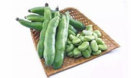 吃完蚕豆可以吃瓜,营养美味两不误