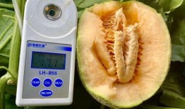 2019吃瓜大全,2019年度娱乐圈吃瓜大事件盘点