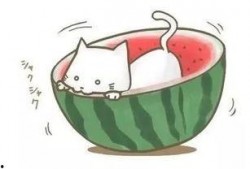 清凉吃瓜夏琪,吃瓜夏琪带你畅游夏日美食之旅