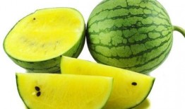 新冠吃西瓜哈密瓜