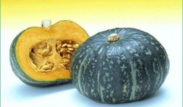 黄玉杰吃瓜,揭秘娱乐圈的“瓜田”风云