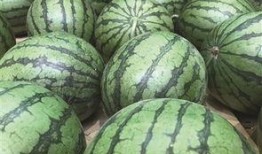 临海唐头路吃瓜,临海美食之旅