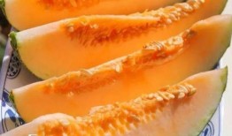 冬天吃瓜娃子,冬天吃瓜娃子的温馨时光