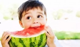 吃瓜要主动小说