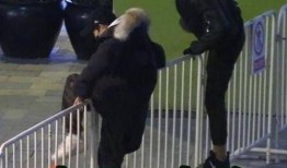 微博栏杆吃瓜,栏杆吃瓜事件引发网友热议，揭秘网络舆论背后的真相