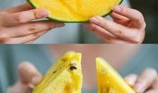 网红迷吃瓜,揭秘娱乐圈幕后真相