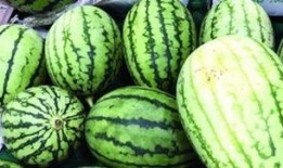 吃瓜围观的图片大全,揭秘热门事件背后的众生相