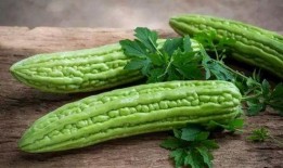 去湿气吃凉瓜,凉瓜美食助你健康养生