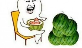 快乐吃瓜44,一场别开生面的网络盛宴