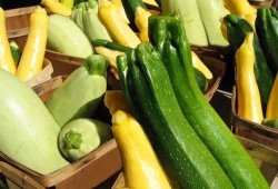 吃瓜256,一场关于美食与文化的盛宴