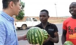 那些吃瓜的人,一场全民参与的娱乐盛宴