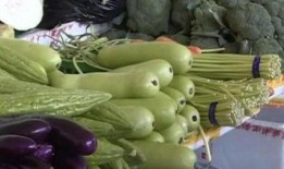 孩子吃瓜会中毒吗,揭秘瓜果中毒风险