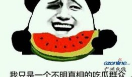 吃瓜来的,吃瓜群众视角下的娱乐圈风云录