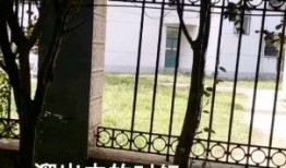 大学护栏事件吃瓜,一场校园安全与管理的风波揭秘