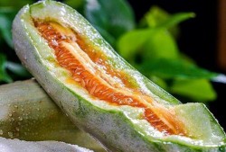 吃脆瓜大便发绿