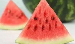 冬天吃夏天瓜,夏果飘香——探寻冬季吃夏瓜的奇妙体验