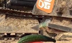 气球上吃瓜视频