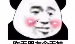 熊猫吃瓜表情,萌态百出，趣味横生