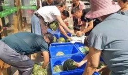 南宁艺校吃瓜事件,揭秘校园风波背后的真相