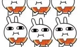 吃瓜警告,吃瓜警告，真相背后的娱乐风云