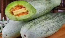 吃脆瓜大便发绿