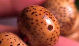 电子包浆吃瓜,揭秘吃瓜群众的网络文化现象