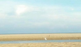 海边抽烟了吃瓜了,抽烟品瓜，尽享海风轻拂