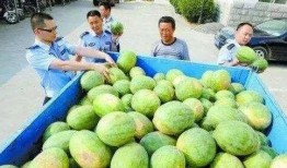 寿县老王吃瓜事件,一场引发社会热议的“瓜农维权”风波