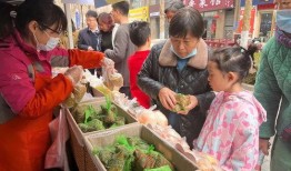 淄博居然之家吃瓜,揭秘家居卖场背后的风波