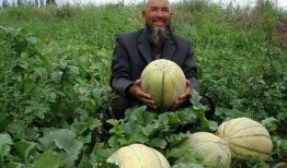 寿县老王吃瓜事件,一场引发社会热议的“瓜农维权”风波