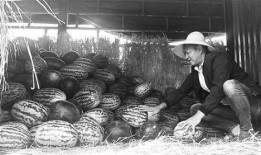 永州吃瓜群众事件,网络舆论的风暴与反思