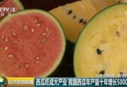 中国吃瓜群众论坛,揭秘网络热议背后的真相与趣味