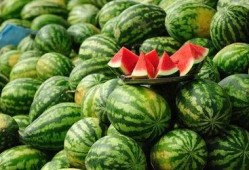 分享免费吃瓜,共享快乐时光！