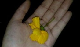 吃瓜素材视频曝光