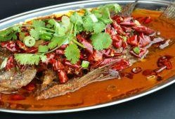 带你吃瓜罗非鱼图片高清,带你领略罗非鱼的风采