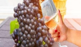 直肠术后吃蒲瓜,天然食疗新选择