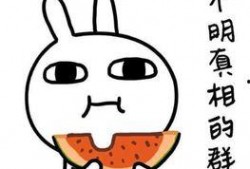 惦记吃瓜文案短句图片,揭秘惦记吃瓜文案背后的趣味与智慧