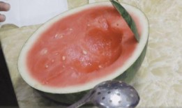 海月语音吃瓜,揭秘网络热词背后的趣味与争议