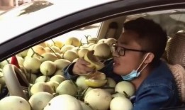 车上吃瓜群众,见证社会百态的“移动窗口”