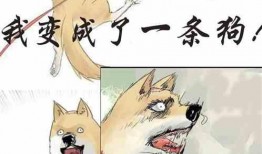 吃瓜徒弟小说,揭秘江湖背后的秘密与奇遇