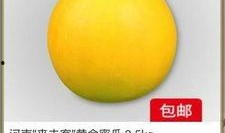 黄白色蜜瓜怎么吃,黄白蜜瓜的多重食法探索